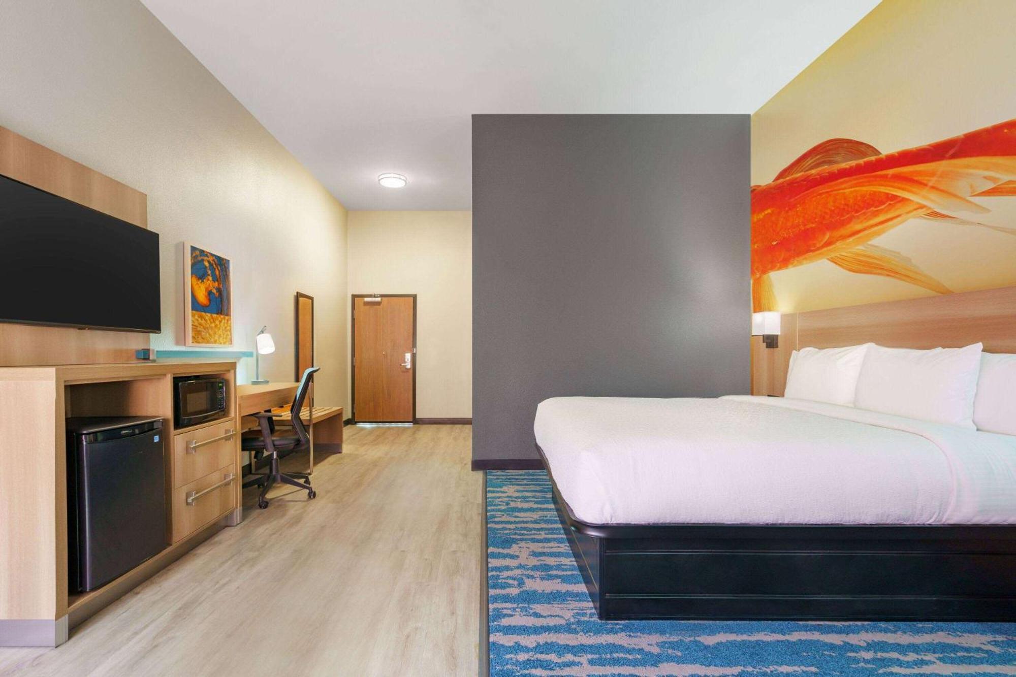 La Quinta Inn & Suites By Wyndham San Antonio Seaworld Lafb エクステリア 写真